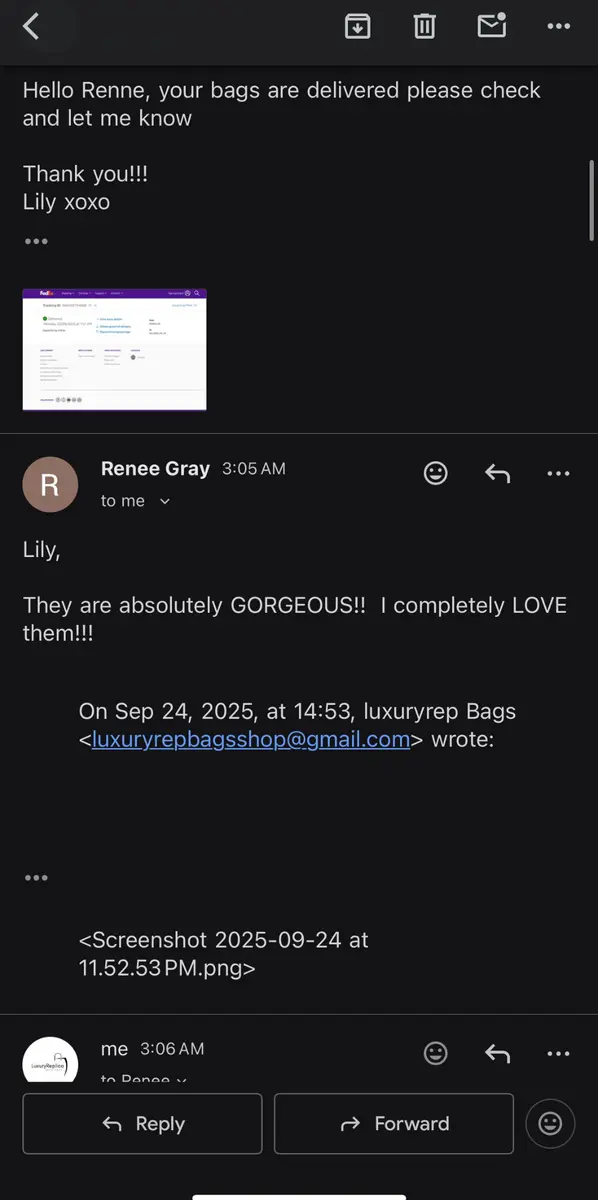 LuxuryRepBags customer review 15