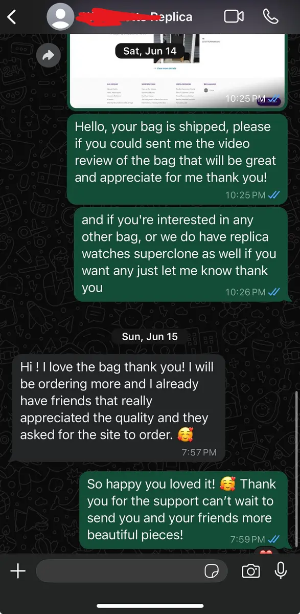 LuxuryRepBags customer review 21