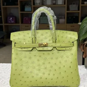 Hermes Birkin 25cm Ostrich Leather Gold Hardware