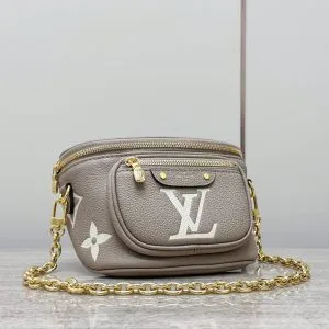 LV mini bumbag bag